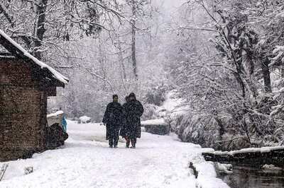 Avalanche Hits J&K's Sarbal, No Casualty Reported; Warning Issued for 12 Districts | WATCH